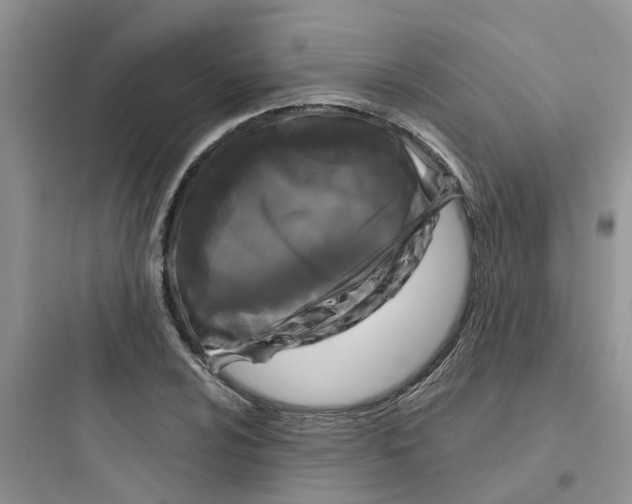 X0000097651024200803211851