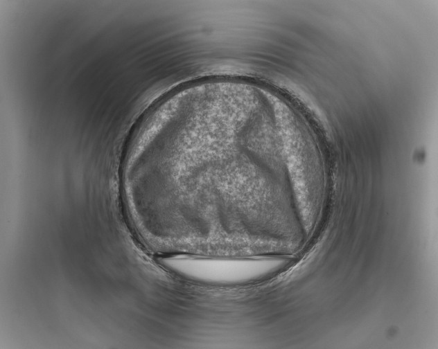 X0000097651025200803211851