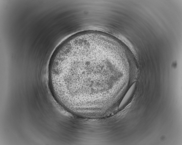 X0000097651028200803211851