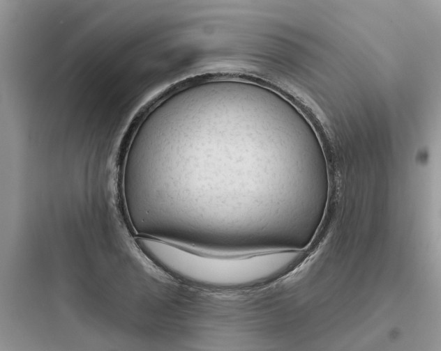 X0000097651029200803211851