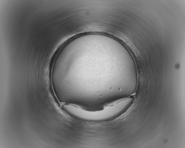 X0000097651030200803211851