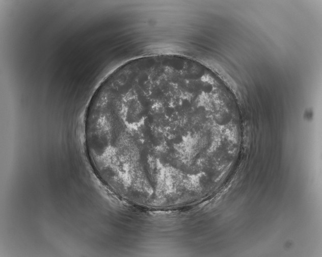 X0000097651031200803211851