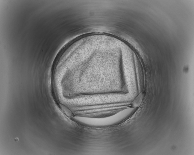 X0000097651032200803211851