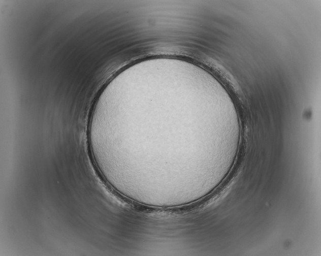 X0000097651033200803211851