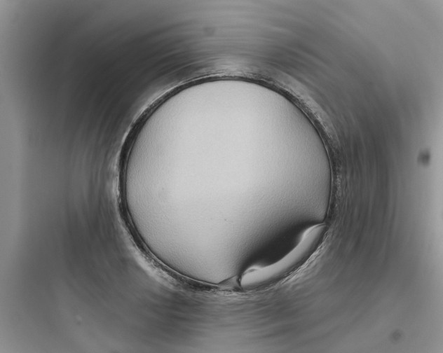 X0000097651034200803211851