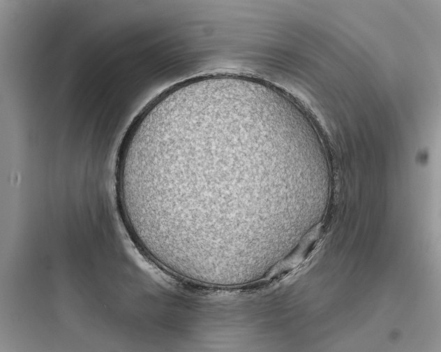 X0000097651038200803211851