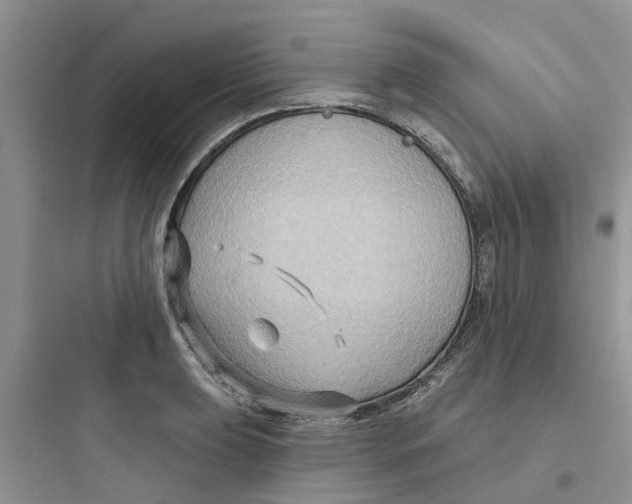 X0000097651039200803211851