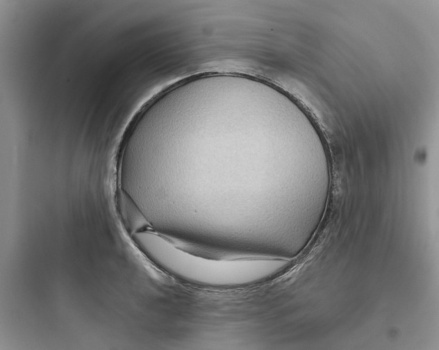 X0000097651040200803211851