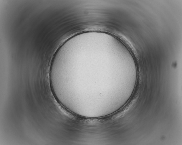 X0000097651041200803211851