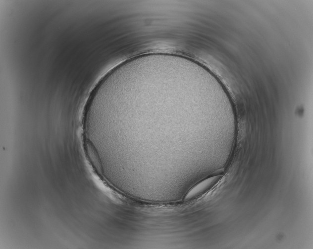 X0000097651042200803211851