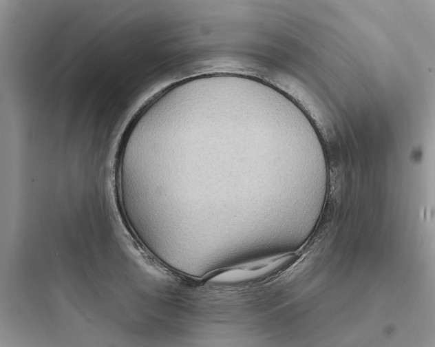 X0000097651043200803211851