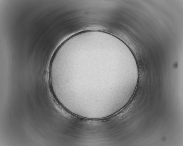 X0000097651044200803211851