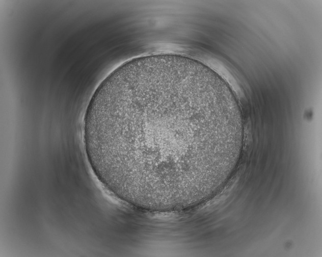 X0000097651047200803211851