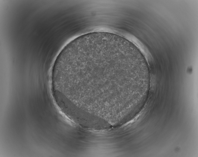 X0000097651048200803211851