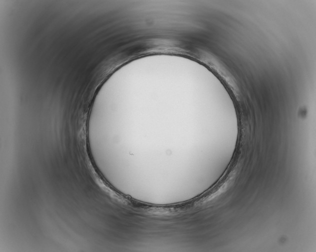 X0000097651049200803211851