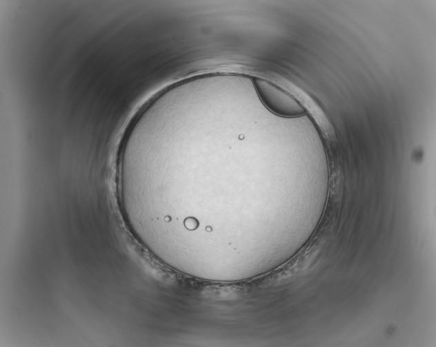 X0000097651051200803211851