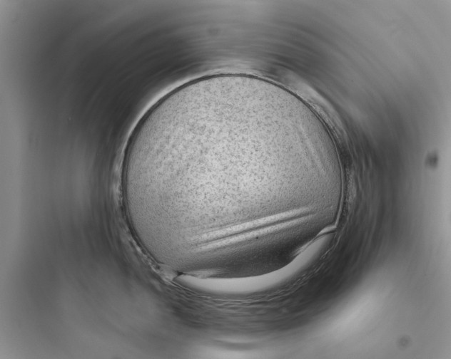 X0000097651052200803211851