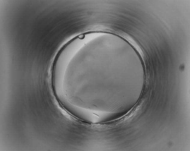 X0000097651053200803211851