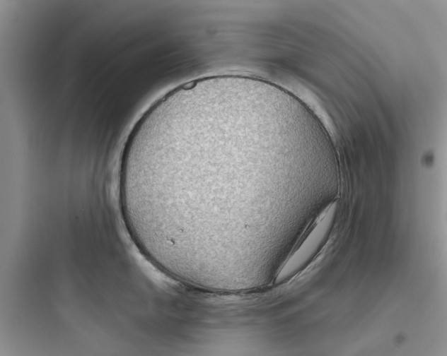 X0000097651054200803211851