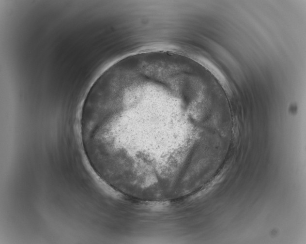 X0000097651055200803211851