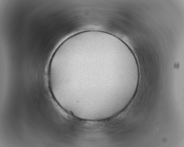 X0000097651056200803211851