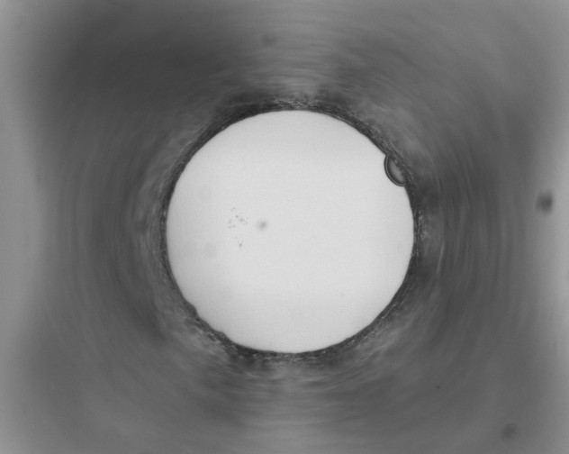 X0000097651057200803211850