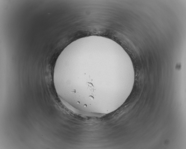 X0000097651058200803211850