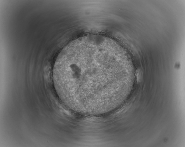 X0000097651059200803211850