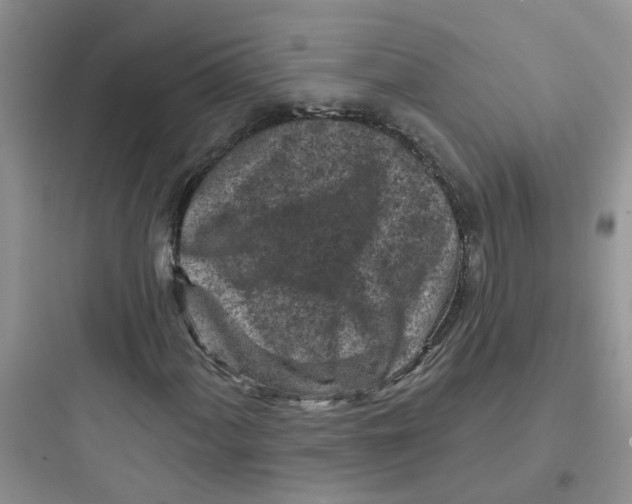 X0000097651060200803211850