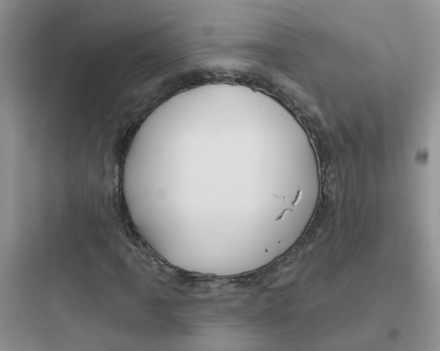 X0000097651061200803211850