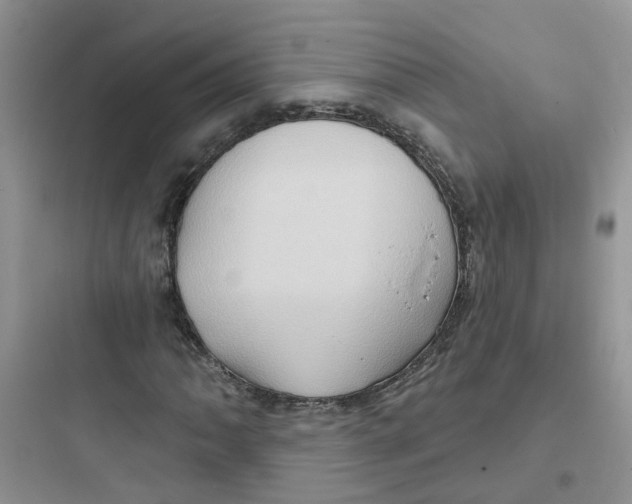 X0000097651062200803211850