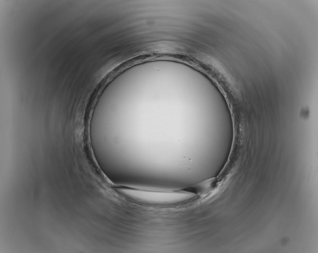 X0000097651065200803211850