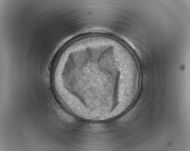 X0000097651066200803211850