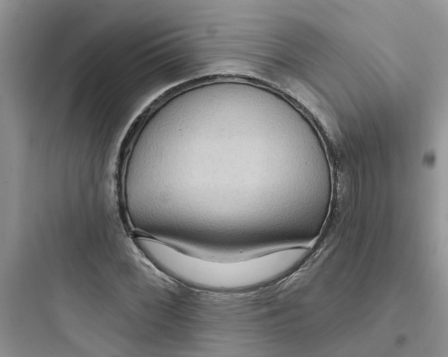 X0000097651068200803211850