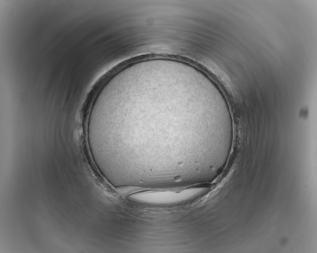 X0000097651070200803211850