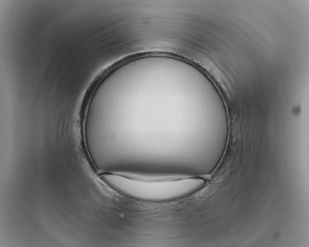 X0000097651072200803211850