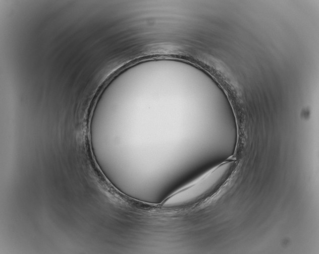 X0000097651073200803211850