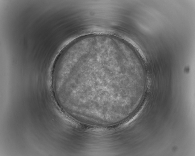 X0000097651074200803211850