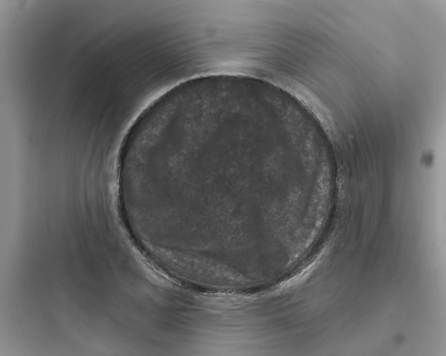 X0000097651077200803211850