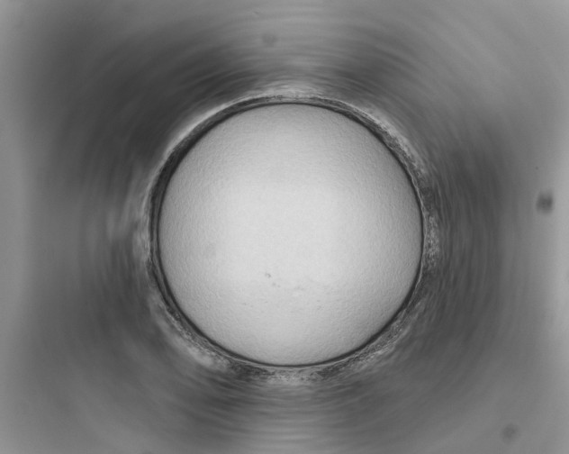 X0000097651078200803211850