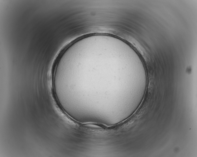 X0000097651080200803211850