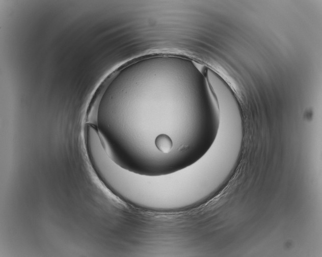 X0000097651084200803211850