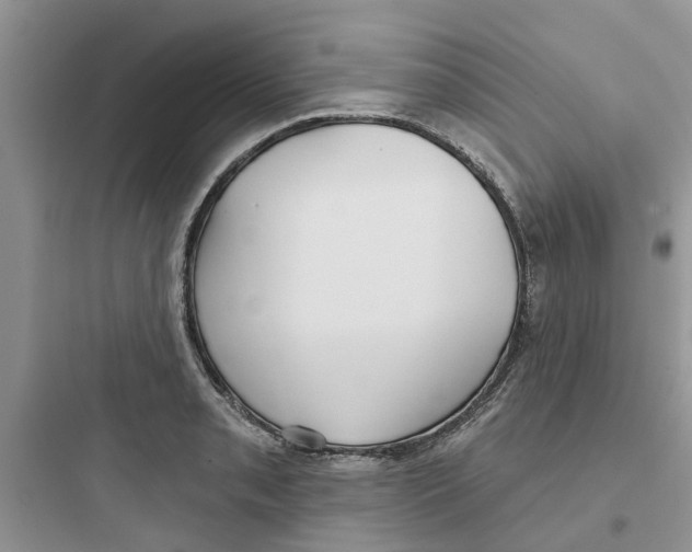 X0000097651085200803211850