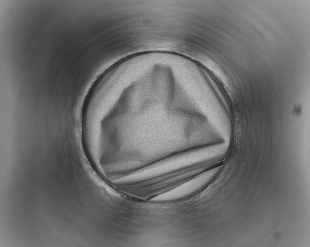 X0000097651088200803211850