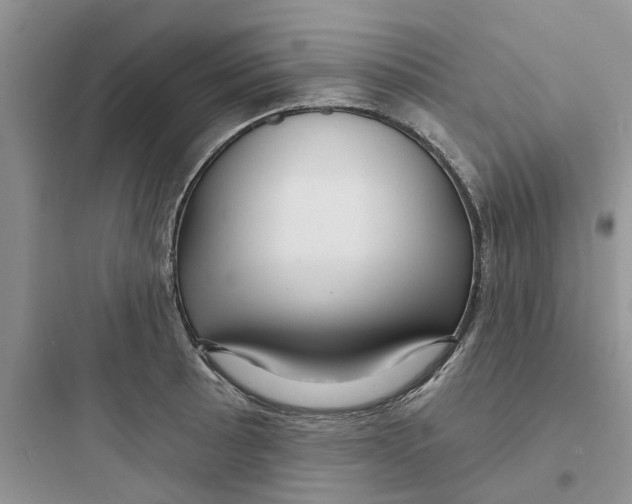 X0000097651089200803211850