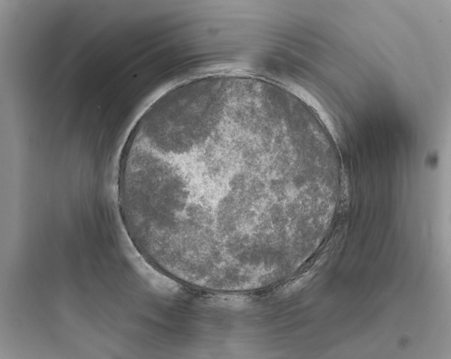 X0000097651090200803211850