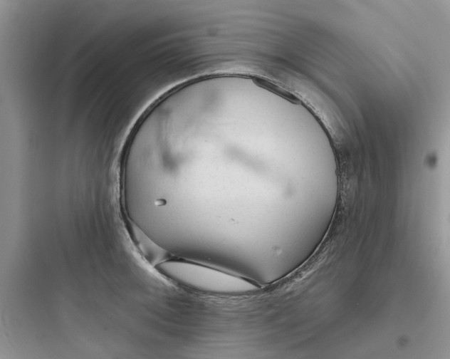 X0000097651092200803211850