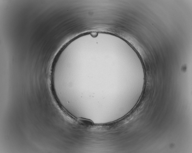 X0000097651093200803211850