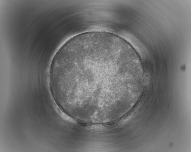 X0000097651094200803211850