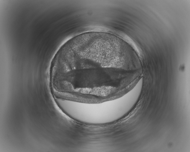 X0000097651095200803211850